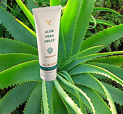 Aloe Vera Gelly  stabilizált aloe vera zselé  ápolja az érzékeny bőrt. Alapjában megegyezik az aloe vera növény belső anyagával. Könnyen felszívódó sűrű, átlátszó zselé hidratáló anyagokat tartalmaz.